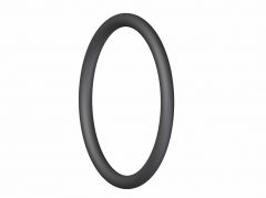 O Ring [422-000-002]