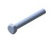 Bolt [301-212-113]